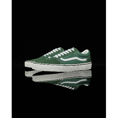 Vans Ward Mens Womens - Green/White VN0A5HTSDVS Shoes