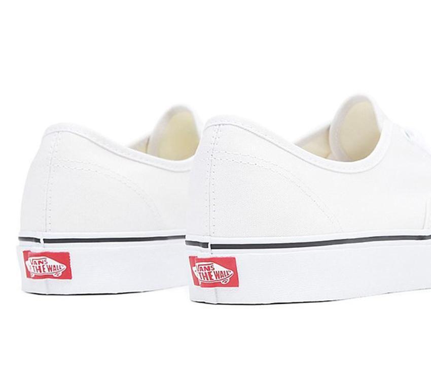 Vans Authentic Mens Womens - Color Theory Cloud VN0A5JMPCOI Shoes