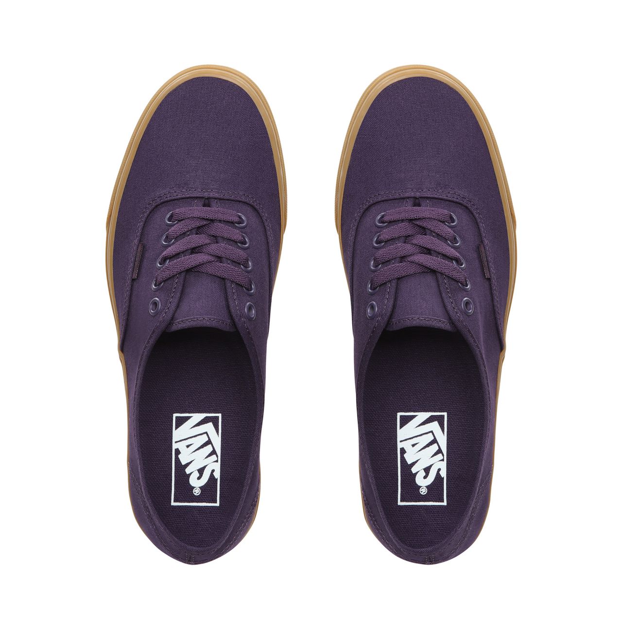 Vans Authentic Classic Mens Womens - Mysterioso/Gum VN0A38EMVKT Shoes